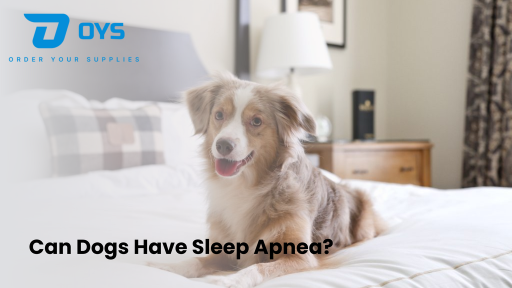 Can Dogs Have Sleep Apnea?